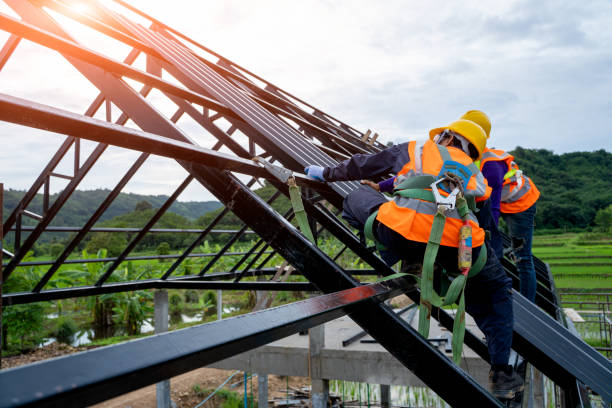 Best Metal Roofing Contractor  in Chase City, VA