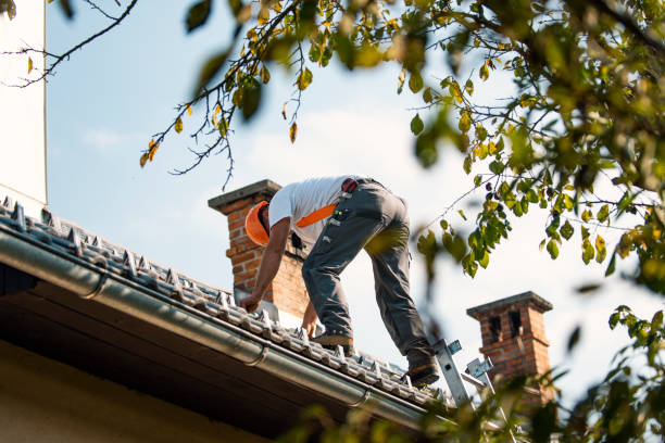 Best Roof Restoration Services  in Chase City, VA