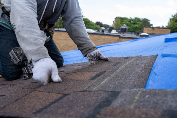 Best Roof Replacement Cost  in Chase City, VA