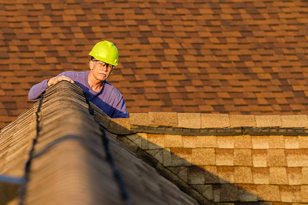 Best Metal Roofing Contractor  in Chase City, VA